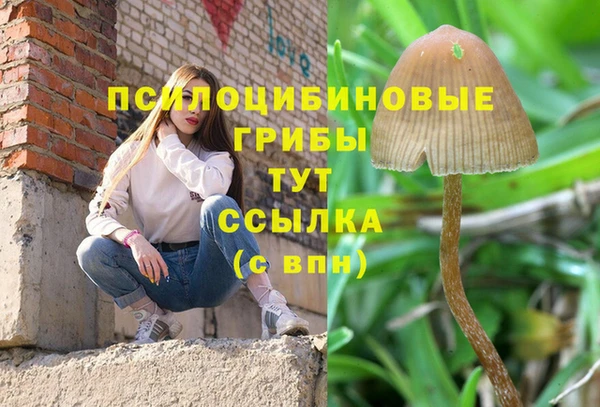 Альфа ПВП Покровск